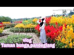 Cocok banget untuk melepas penat setelah. Taman Bunga Pandeglang Laco Blog