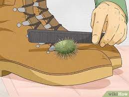 Get some disposable rubber gloves, put them on and wash them with soap and water (to get rid of the powder). 3 Ways To Remove Cactus Needles Wikihow