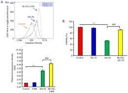 A sand mandala is ritualistically dismantled once it has been completed and its accompanying. Novel Quinazolinone Mj 33 Induces Akt Mtor Mediated Autophagy Associated Apoptosis In 5fu Resistant Colorectal Cancer Cells