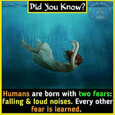 Pin By Priyanka Kavade On ɨռȶɛʀɛֆȶɨռɢ ʄǟƈȶֆ Psychology Fun Facts Interesting Facts About World Physiological Facts