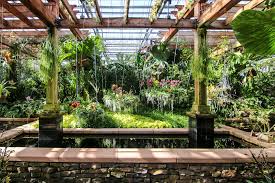 From the tiny treasures of the pleurothallids, like masdevallia and dracula, to the large climbing. Best Botanical Garden In The Us Atlanta Competes For Top Spot Wabe 90 1 Fm