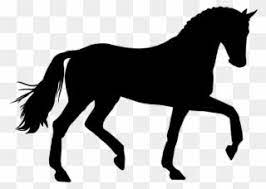 Clipart Horse Swimming Transparent Background Horse Clipart Png Download Horses Clip Art Transparent Background