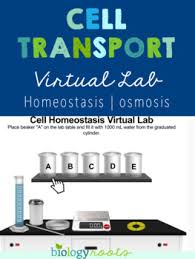 Molecular biology virtual lab i. Cell Transport Virtual Lab Supports Distance Learning By Biology Roots