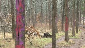 Graffiti found at Wichita Mountains Wildlife Refuge