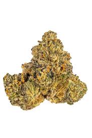 Gelato 33 is a hybrid marijuana strain made by crossing sunset sherbet and thin mint gsc. Gelato 41 Strain Hybrid Cannabis Video Review Hytiva