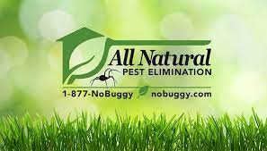 Vivamus suscipit tortor eget felis porttitor volutpat. All Natural Pest Elimination Home Facebook