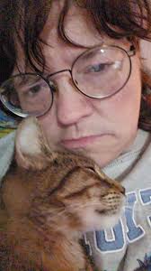 Ultrasound machine availability at Farmington Falls Vet