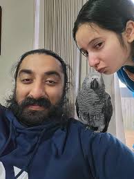 Lost Parrot Agapornis Needs Help Finding