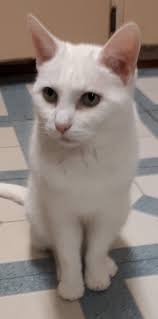 Now you can begin Blanche too! You are most welcome, ladies! 🤣🥰🤣🥰🤣🥰🤣