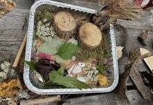 Nature Kids: Make a Fairy Garden