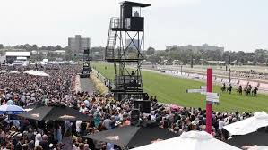 There might be meetings taking place. Horse Racing Terms Slang Explained Tips Odds Betting Herald Sun