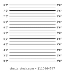 1000 Mugshot Height Chart Stock Images Photos Vectors