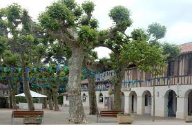 Le village by ca aquitaine est un accélérateur de startup, caractérisé par un lieu unique. Le Fronton Et La Place Du Village In Moliets Et Maa Landes Atlantique Sud