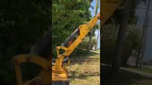 They performed the work today, december 17, 2011, in an efficient and professional manner. World Amazing Tree Cutting And Trimming Machine Youtube