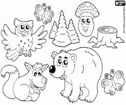 Taiga, coniferous forest, deciduous forest or pond animals. Forest Animals Coloring Pages Printable Games
