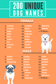 200 Unique Dog Names Male And Female Help Your Dog Stand Out Puppy Girl Names Puppy Names Dog Names