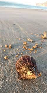 سناب بحر خلفيات beautiful images nature ocean wallpaper digital art girl