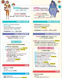 Simple Nursing On Instagram New Endocrine Cheat Sheets Videos Coming This Fall Term Nursing School Notes Endocrine System Nursing Nursing School Survival