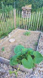 Rindenmulch War Gestern Richtig Mulchen Mit Miscanthus In 2020 Rindenmulch Mulchen Garten Ideen
