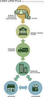 Infographic On The Cash Lifecycle Infographic Financial Institutions Bank Financial
