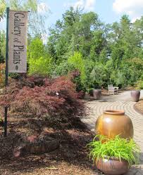 The nursery has most everything you'd want as natives. A Walking Tour Of The Plant Gallery With Jim Brophy Blog Rutgers Landscape Nursery