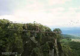 Find the perfect itatiaia national park stock photos and editorial news pictures from getty images. Itatiaia National Park Revista Landuum