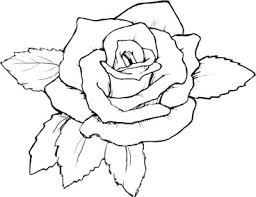 Learn how to create a beautiful rose in colored pencil using this simple lesson. Hearts And Roses Pics Posted By John Thompson