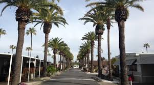 Twin palms mobile home park is a 55+, pet free, gated community. Homepage Golden Palms Mobile Home Estates