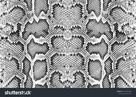 Snake Skin Pattern Texture Repeating Seamless Monochrome Texture Snake Fashionable Print Fashion And Styl Textures Patterns Snake Skin Pattern Snake Patterns