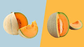 Is Cantaloupe a gourd?