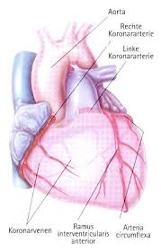 This is wenn der chirurg ran muss: Koronare Bypasschirurgie