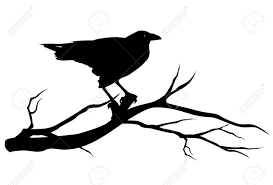 Black And White Ravens Clipart Crow Stock Vector Illustration And Royalty Free Crow Clipart Bird Silhouette Bird Silhouette Art Raven Bird