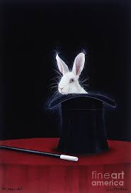 The Magic Hat By Will Bullas In 2021 Magic Hat Rabbit In A Hat Rabbit Painting