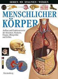 Menschlicher Korper Aufbau Und Funktionsweise Der Knochen Muskeln Organe Blutgefasse Und Zellen Sehen Staunen Wissen Vogel Sebastian Amazon De Bucher