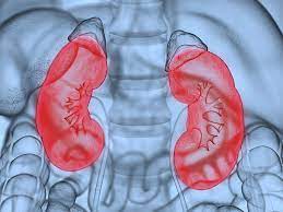 What Is Nephrotic Syndrome Symptoms And Treatment