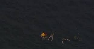 Mar 21, 2021 · librivox about. Poff One Of The Other Swimmers Was Shot I Saw The Blood Stream Out