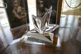 Optical Women's Association