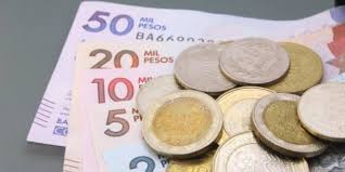 Check spelling or type a new query. Ingreso Solidario Marzo 2021 Como Consultar Con Cedula Si Es Beneficiario Sectores Economia Eltiempo Com