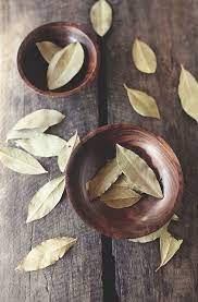 Bay Leaves Herbalism Magick Healing Herbs