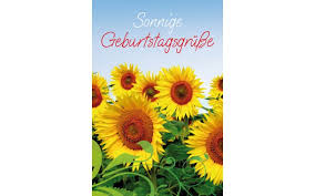 Gansjahrestraume Karte Geburtstag Sonnige Geburtstagsgrusse Go Gjt 51 1214 Uvp 1 95 Gansjahrestraume Grusskarten Serien Goldbach Karten