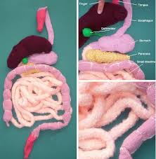 14 i praise you, for i am fearfully and wonderfully made. Knitty Gritty 15 Works Of Knit Graffiti Yarn Bomb Art Urbanist