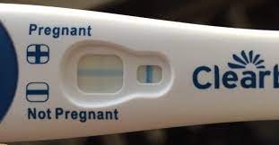 Clear Blue Pregnancy Test Evap Line Pregnancy Test