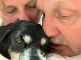 Sadly last night we lost Mali. He was an integral part of out team for so  many years. Absolutely fantastic character and we be greatly missed. A  great friend and a great