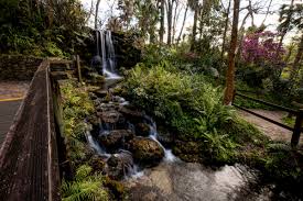 Florida is the flattest state in the country, so most visitors wouldn't normally assume that we would have any waterfalls at all. Chasing Waterfalls 7 Cascading Gems In Florida Orlando Sentinel