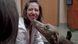 We provide the quality care our clients expect and their pets deserve. Westgate Pet Clinic Minneapolis And Edina Veterinarian