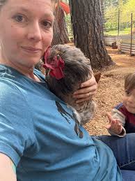 Cute cuddly chickens make a great pet for kids