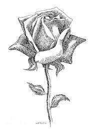 1001 Photos De Dessin Noir Et Blanc Qui Vont Vous Aider A Ameliorer Votre Technique Dessin Noir Et Blanc Rose Noir Et Blanc Dessin Rose