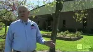 Find out what works well at clegg's termite and pest control from the people who know best. Meet Clegg S Termite Pest Control Youtube