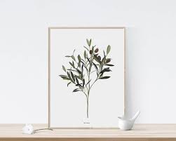 Olive Print Printable Art Botanical Print Olive Branch Etsy Olive Branch Botanical Prints Printable Art