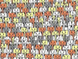 Below is the complete solution and answers guide to the elephant pack chapter in word brain. Can You Find The Panda Among The Elephants Daily Mail Online